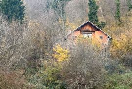 GORSKI KOTAR, BROD MORAVICE- Kuća na osami s velikim potencijalom, Vrbovsko, Maison