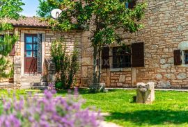ISTRA, ŽMINJ - Kamena vila u čarobnom središtu Istre, Žminj, Famiglia