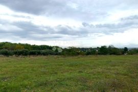 ŠTINJAN – ravna parcela okružena maslinicima, Pula, Land