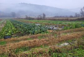 ISTRA, PIĆAN - Prostrano poljoprivredno zemljište, Pićan, Terra