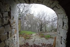 Samo u DOGMI - kamena starina, građevinski teren i vrtovi, Buzet, Дом