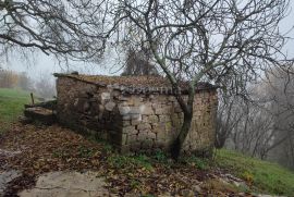 Samo u DOGMI - kamena starina, građevinski teren i vrtovi, Buzet, بيت