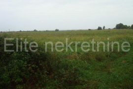 Brtonigla - prodaja parceliranih zemljišta, 6.064 m2, Brtonigla, Земля