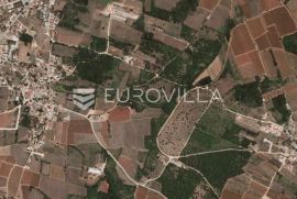 Istra, Labinci -  prostrano poljoprivredno zemljište 16595 m2 uz prometnicu, Kaštelir-Labinci, Terreno