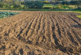 Poljoprivredno zemljište 1781 m2 na lijepoj poziciji u blizini Dubrovnika, Dubrovnik - Okolica, Terrain