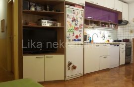 ZAGREB - KNEŽIJA-2,5 sobni, 4kat, funkcionalno uređen, lođa, Zagreb, Appartment