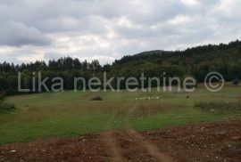 PERUŠIĆ - građevinsko i poljoprivredno zemljište i šuma, Perušić, Terrain