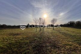 Istra, Žminj - prostrano pravokutno građevinsko zemljište, 1665 m2, Žminj, Tierra