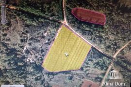 Poljoprivredno zemljište Prodaju se više poljoprivrednih parcela u Višnjanu!, Višnjan, Tierra