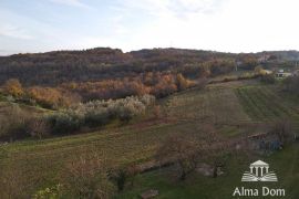 Poljoprivredno zemljište Prodaju se više poljoprivrednih parcela u Višnjanu!, Višnjan, Γη