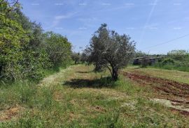 Poljoprivredno zemljište Legalizirana kućica na velikom poljoprivrednom zemljištu., Fažana, Tierra
